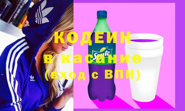 твердый Гусев