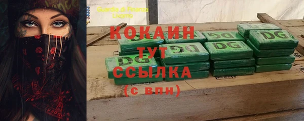 твердый Гусев