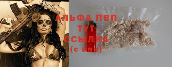 spice Гусиноозёрск