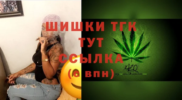 spice Гусиноозёрск
