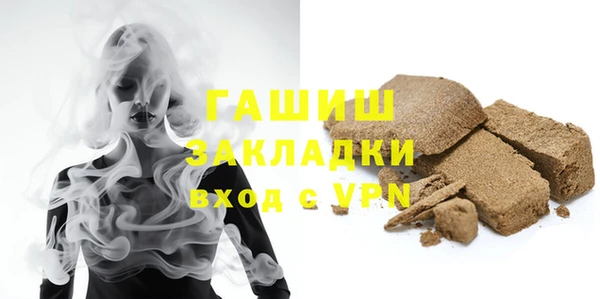 твердый Гусев