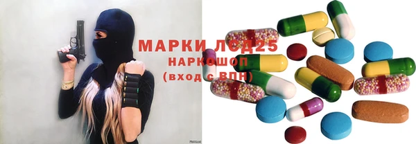 spice Гусиноозёрск