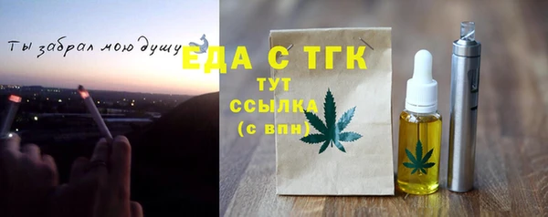 твердый Гусев