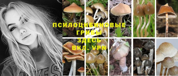 твердый Гусев