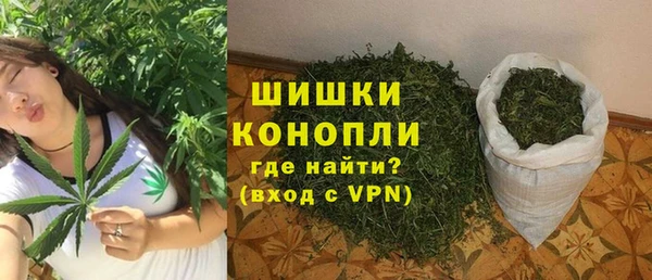 твердый Гусев