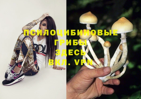 spice Гусиноозёрск