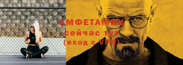 твердый Гусев