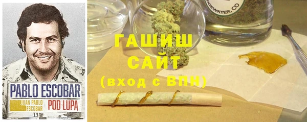 твердый Гусев